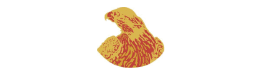 Falcon Security Limited